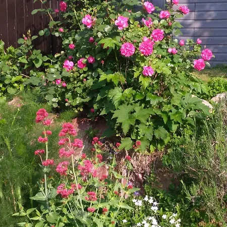 Joli Cocon Avec Terrasse Entre Giverny Et La Roche Guyon 펜션 Gasny